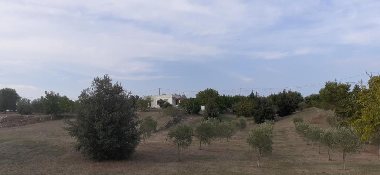 Trullo Genista Villa Martina Franca Exteriör bild